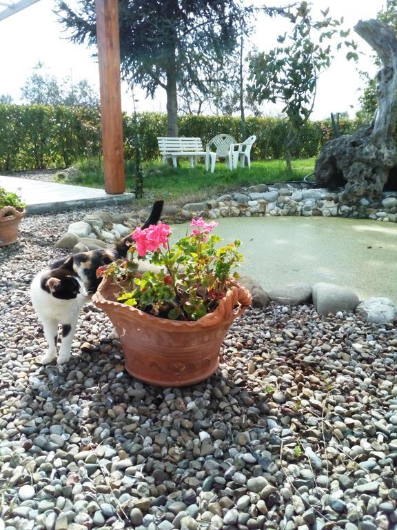 Bed and Breakfast Dimora Antonianna In Valle D'Itria Locorotondo Zewnętrze zdjęcie